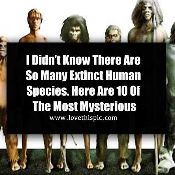 I Didn’t Know There Are So Many Extinct Human Species. Here Are 10 Of The Most Mysterious