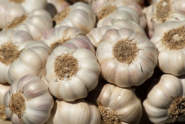 I Found 30+ Powerful And Healthy Ways To Use Garlic You've Probably Never Known About. #10 Shocked Me! - picture 2