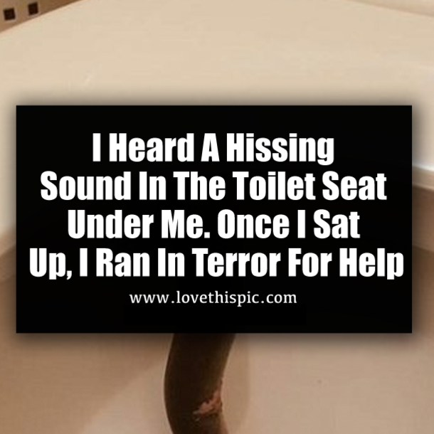 I Heard A Hissing Sound In The Toilet Seat Under Me. Once I Sat Up, I Ran In Terror For Help
