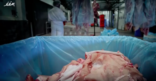 I Never Realized They Did This To Make Gummy Bears. After I Saw This Footage, I Will Never Eat Them Again - picture 4