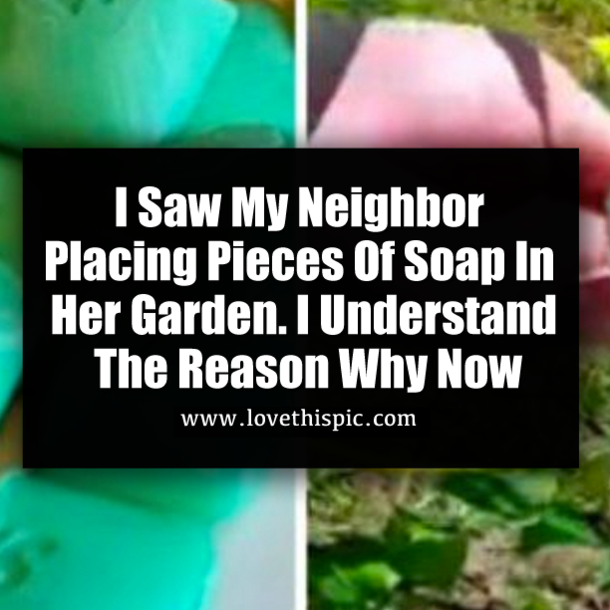 I Saw My Neighbor Placing Pieces Of Soap In Her Garden. I Understand The Reason Why Now