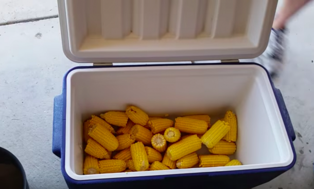 I Tried This "Redneck Corn" And It Was The Best Tasting Corn I Ever Had In My Life And It Comes From A Cooler! - picture 4