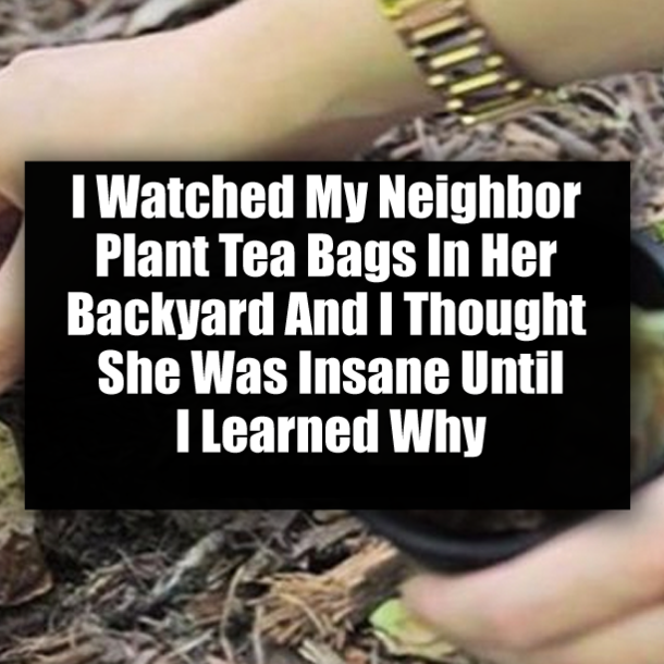I Watched My Neighbor Plant Tea Bags In Her Backyard And I Thought She Was Insane Until I Learned Why