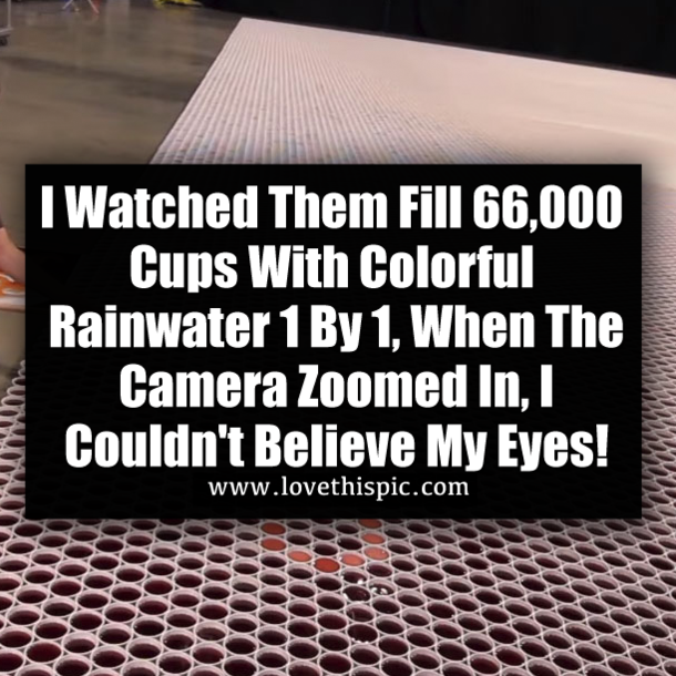 I Watched Them Fill 66,000 Cups With Colorful Rainwater 1 By 1, When The Camera Zoomed In, I Couldn't Believe My Eyes!