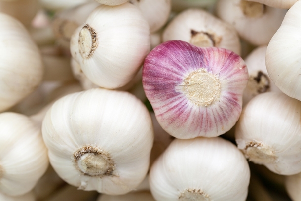 I've Heard How Good Garlic Is For The Heart, But Here's What I Didn't Know! - picture 2