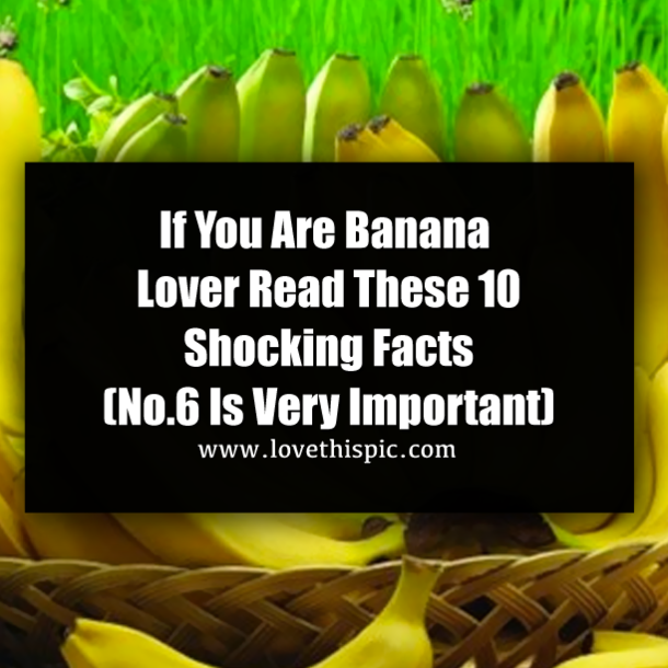 If You Are Banana Lover Read These 10 Shocking Facts (No.6 Is Very Important)