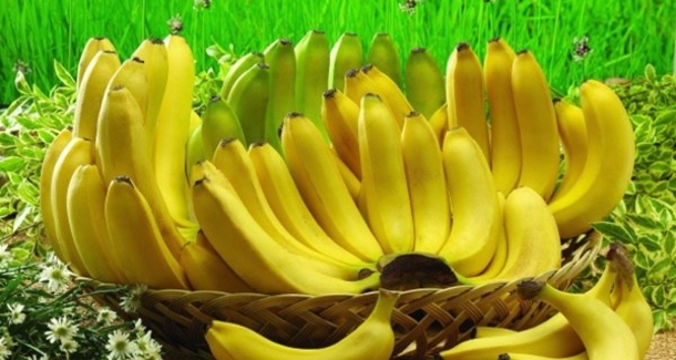 If You Are Banana Lover Read These 10 Shocking Facts (No.6 Is Very Important) - picture 2