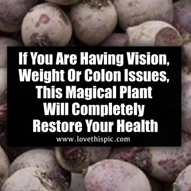 If You Are Having Vision, Weight Or Colon Issues, This Magical Plant Will Completely Restore Your Health