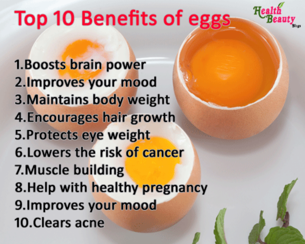 If You Eat Eggs Everyday, This Is What Happens To Your Body - picture 2