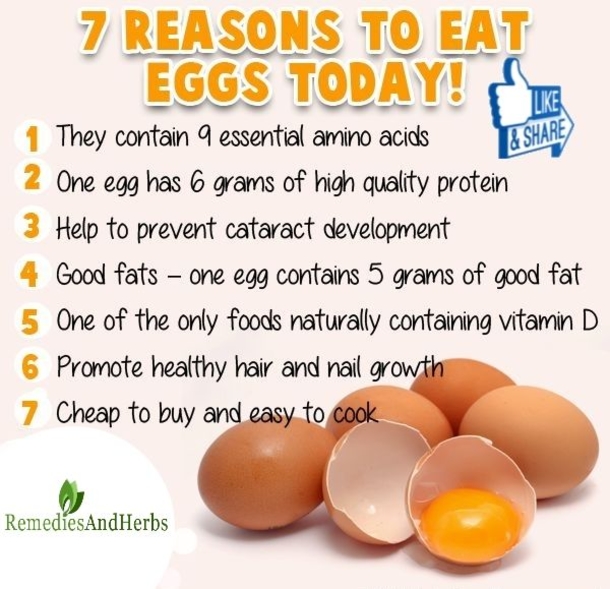 If You Eat Eggs Everyday, This Is What Happens To Your Body - picture 3