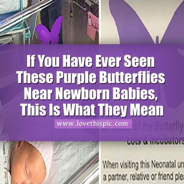If You Ever See These Purple Butterflies Near Newborn Babies, This Is What They Mean...