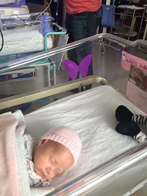 If You Ever See These Purple Butterflies Near Newborn Babies, This Is What They Mean... - picture 3