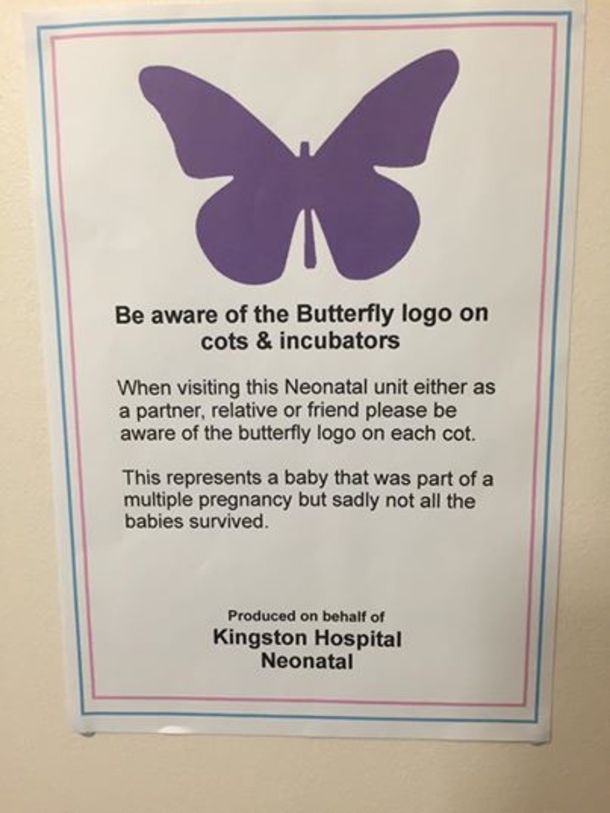 If You Ever See These Purple Butterflies Near Newborn Babies, This Is What They Mean... - picture 4
