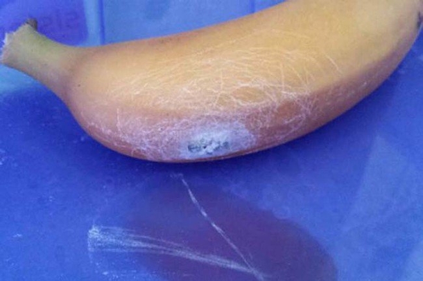 If You Find THIS On your Banana Do Not It Because It Might Kill You - picture 2