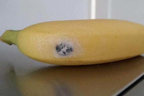 If You Find THIS On your Banana Do Not It Because It Might Kill You - picture 3
