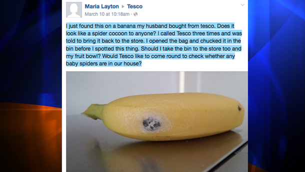 If You Find THIS On your Banana Do Not It Because It Might Kill You - picture 5