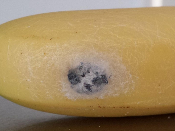 If You Find THIS On your Banana Do Not It Because It Might Kill You - picture 8