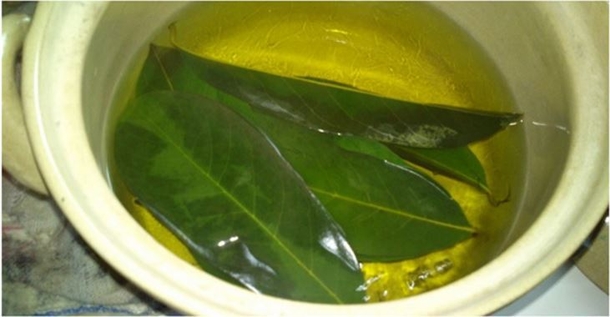 If You Have Diabetes Boil These Leaves and Remove This Problem Without Drugs! - picture 2