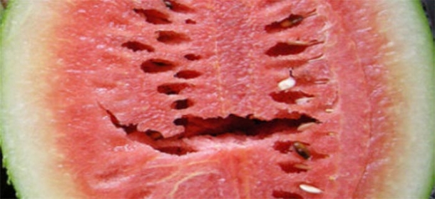 If You Open A Watermelon And See Cracks Like This Throw It Out Immediately; You Will Get Very Sick! - picture 2