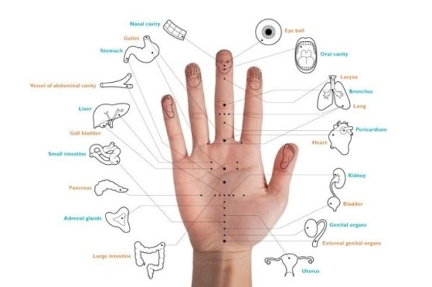 If You Rub Your Finger For 1 Minute, This Amazing Thing Happens To Your Body...Impressive! - picture 3