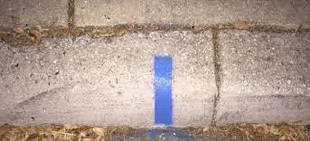 If You See a Thin Blue Line On a Curb All Around The Country…It Means One Beautiful Thing...Amazing! - picture 2