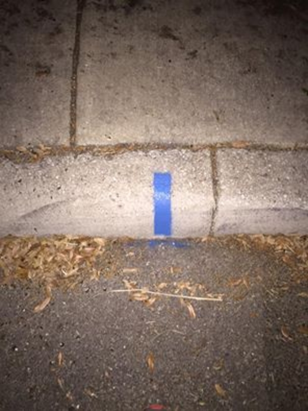 If You See a Thin Blue Line On a Curb All Around The Country…It Means One Beautiful Thing...Amazing! - picture 3