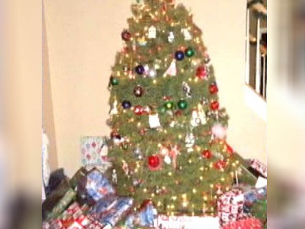 If You See This Thing Growing On Your Christmas Tree Get Rid Of It Immediately! Here's Why... - picture 4