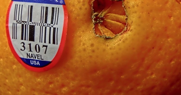 If You Spot This Sticker On Any Piece Of Fruit, Do Not Touch It - picture 2