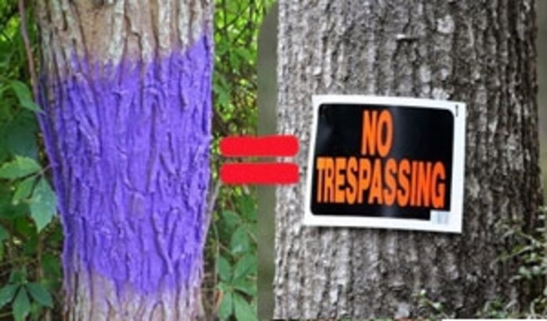If You Stumble Across a Purple Fence Post, Here’s Why You Should STAY AWAY - picture 2