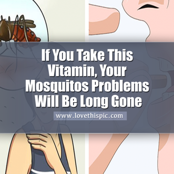 If You Take This Vitamin, Your Mosquitos Problems Will Be Long Gone