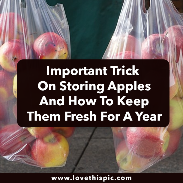 Important Trick On Storing Apples And How To Keep Them Fresh For A Year