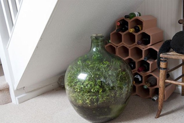 In 40 Years, 61-Year-Old Bottle Garden Hasn’t Been Watered, But It’s Still Going Strong! - picture 2