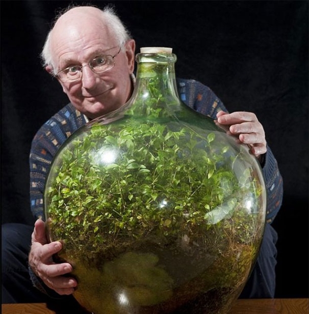 In 40 Years, 61-Year-Old Bottle Garden Hasn’t Been Watered, But It’s Still Going Strong! - picture 3