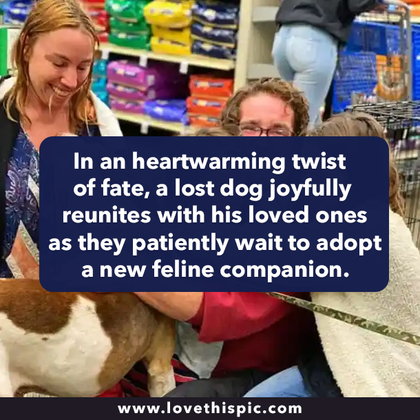 In an heartwarming twist of fate, a lost dog joyfully reunites with his loved ones as they patiently wait to adopt a new feline companion.