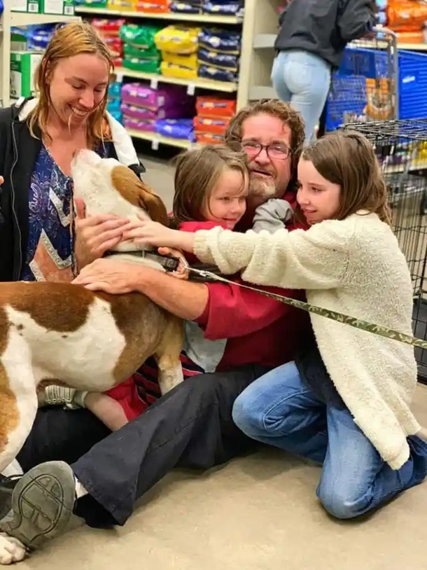 In an heartwarming twist of fate, a lost dog joyfully reunites with his loved ones as they patiently wait to adopt a new feline companion. - picture 3