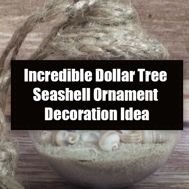 Incredible Dollar Tree Seashell Ornament Decoration Idea