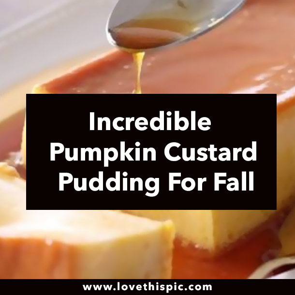 Incredible Pumpkin Custard Pudding For Fall