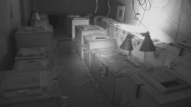 Inspectors Entered The Basement Where Dozens Of Tiny Crates Sat In The Dark. Then They Looked Inside - picture 3