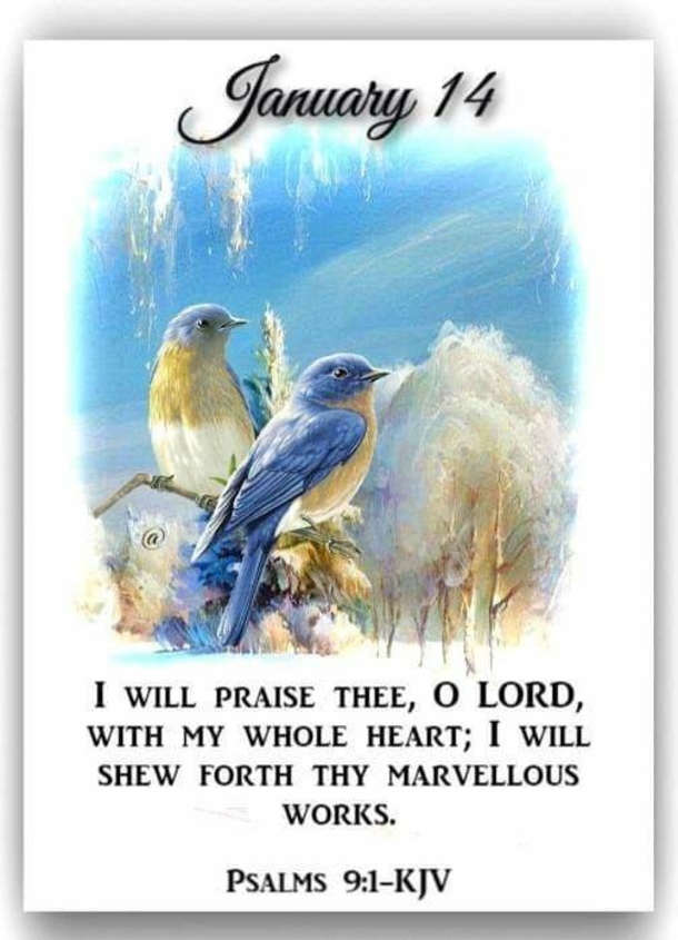 Inspirational January 14 Quotes, Wishes And Messages For The Day - picture 4