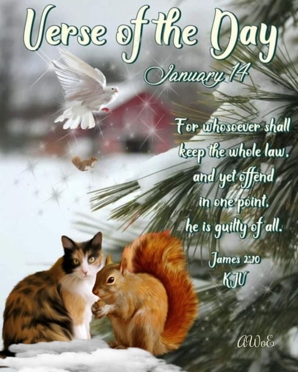 Inspirational January 14 Quotes, Wishes And Messages For The Day - picture 5