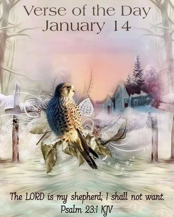 Inspirational January 14 Quotes, Wishes And Messages For The Day - picture 6