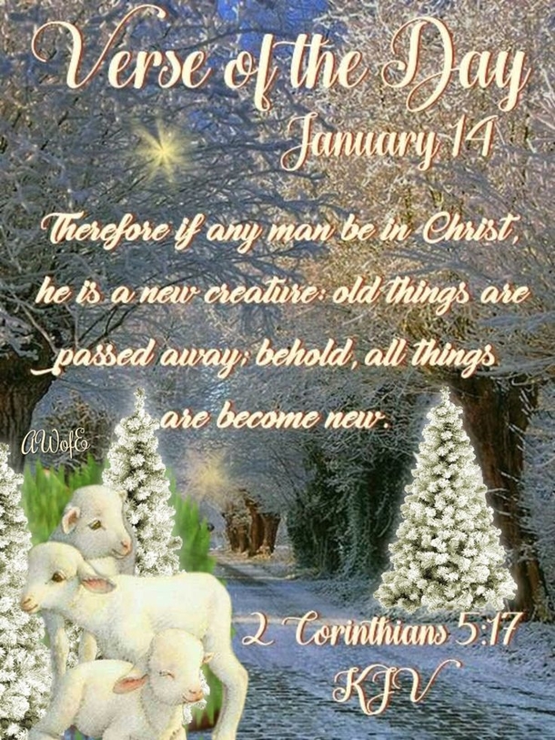 Inspirational January 14 Quotes, Wishes And Messages For The Day - picture 9