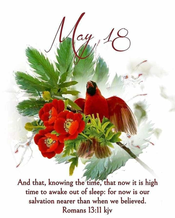 Inspirational May 18 Messages, Quotes, Images And Greetings For The Day - picture 9