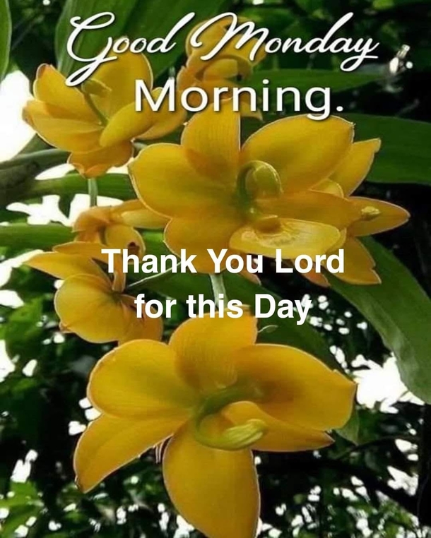 Inspirational Monday Quotes & Blessings To Start A Positive Week - picture 6