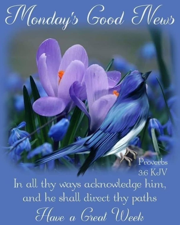 Inspirational Monday Quotes & Blessings To Start A Positive Week - picture 7