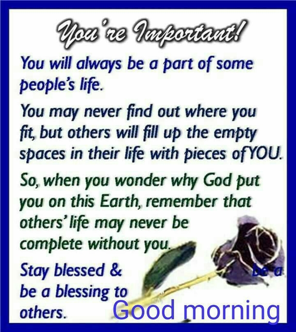 Inspirational Wisdom Quotes To Read Daily - picture 2