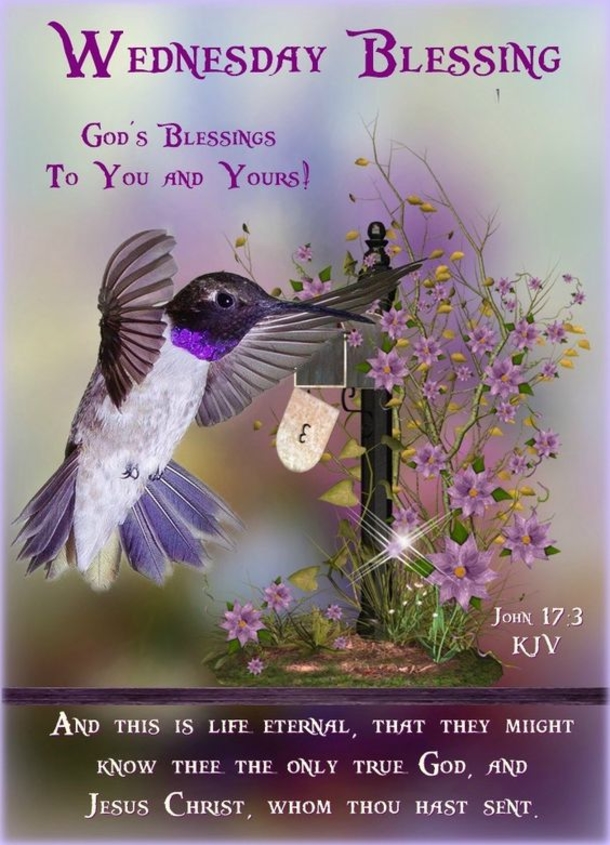 Inspirational & Blessed Wednesday Good Morning Quotes - picture 12