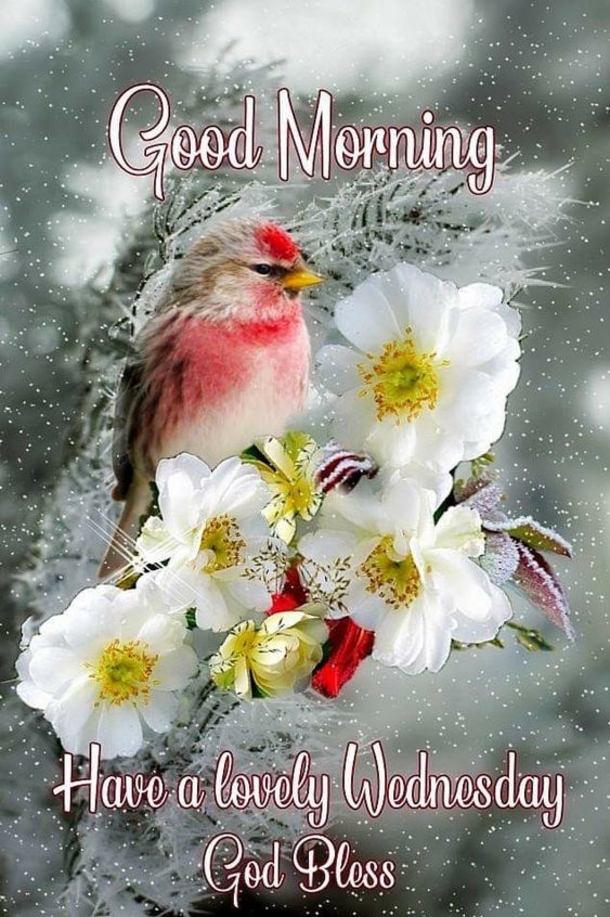 Inspirational & Blessed Wednesday Good Morning Quotes - picture 2