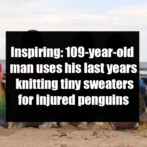 Inspiring: 109-year-old man uses his last years knitting tiny sweaters for injured penguins