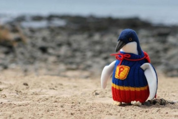 Inspiring: 109-year-old man uses his last years knitting tiny sweaters for injured penguins - picture 2